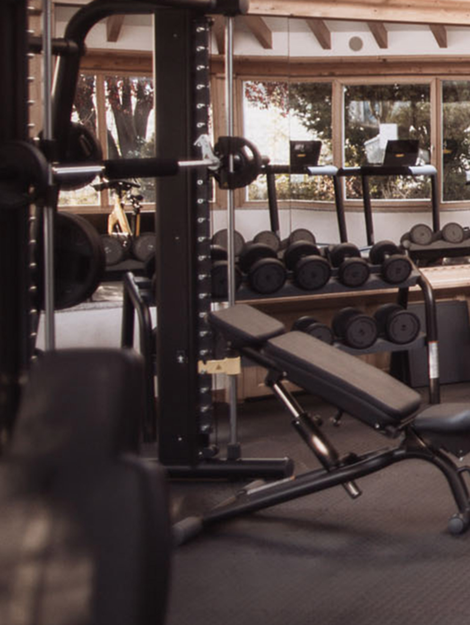 Fitnessgeräte und Hanteln im Fitnessraum - Hotel Montis