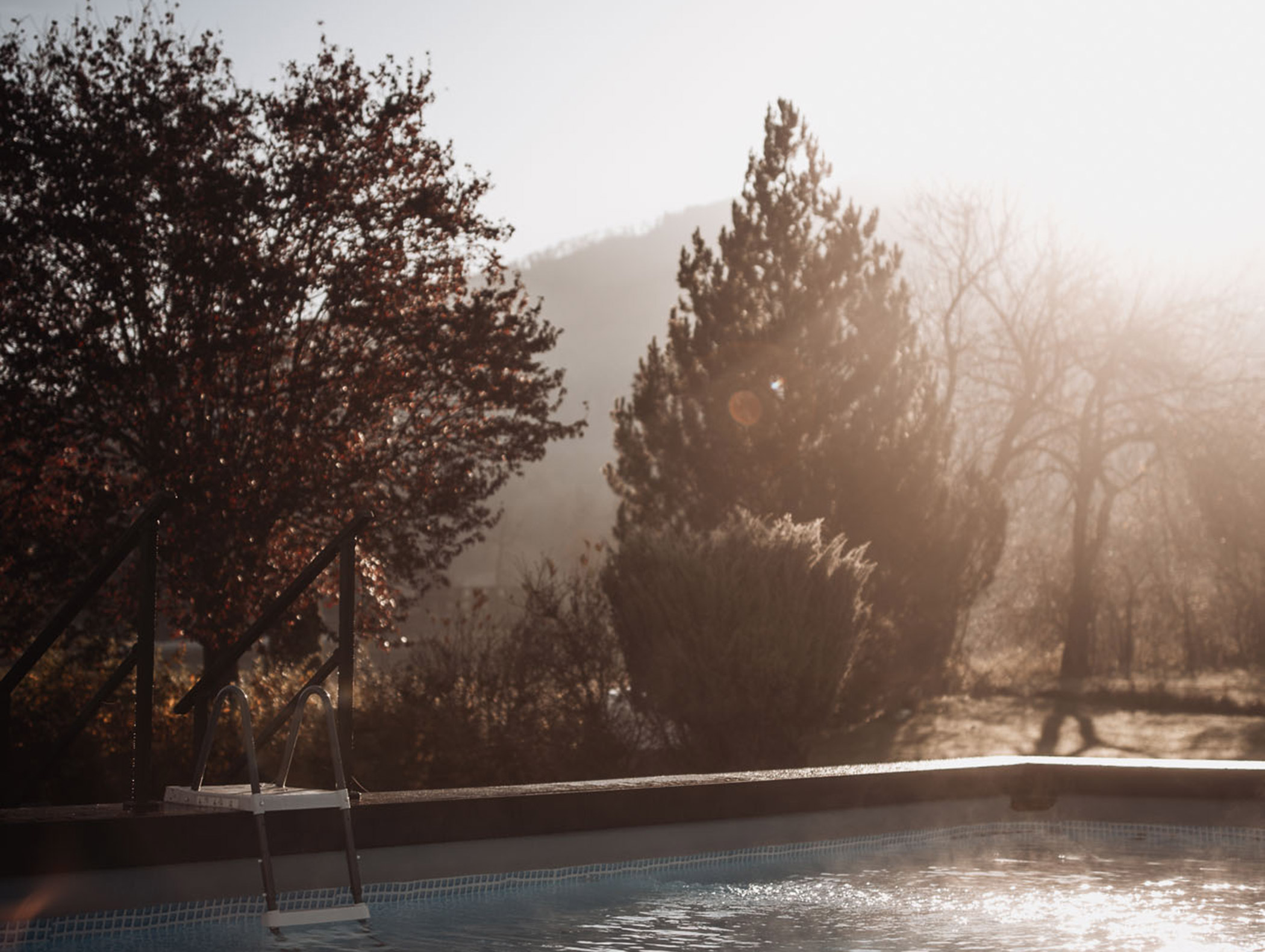 Außenpool, dahinter verschiedene Bäume im Herbst - Hotel Montis